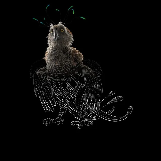 Fantastic Beasts Tribal Augurey Men's T-Shirt - Black