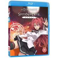 Testament of Sister New Devil Burst