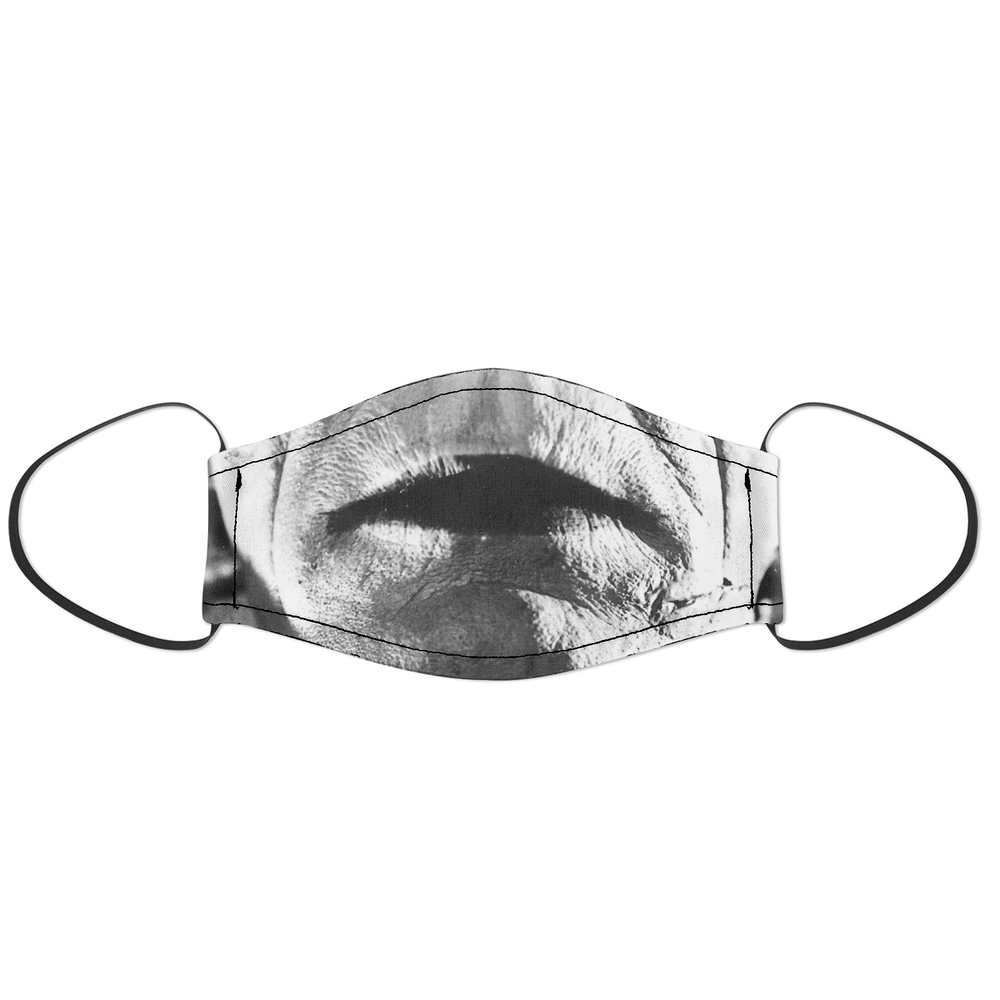 Universal Monsters Frankenstein Face Mask - S Image 1