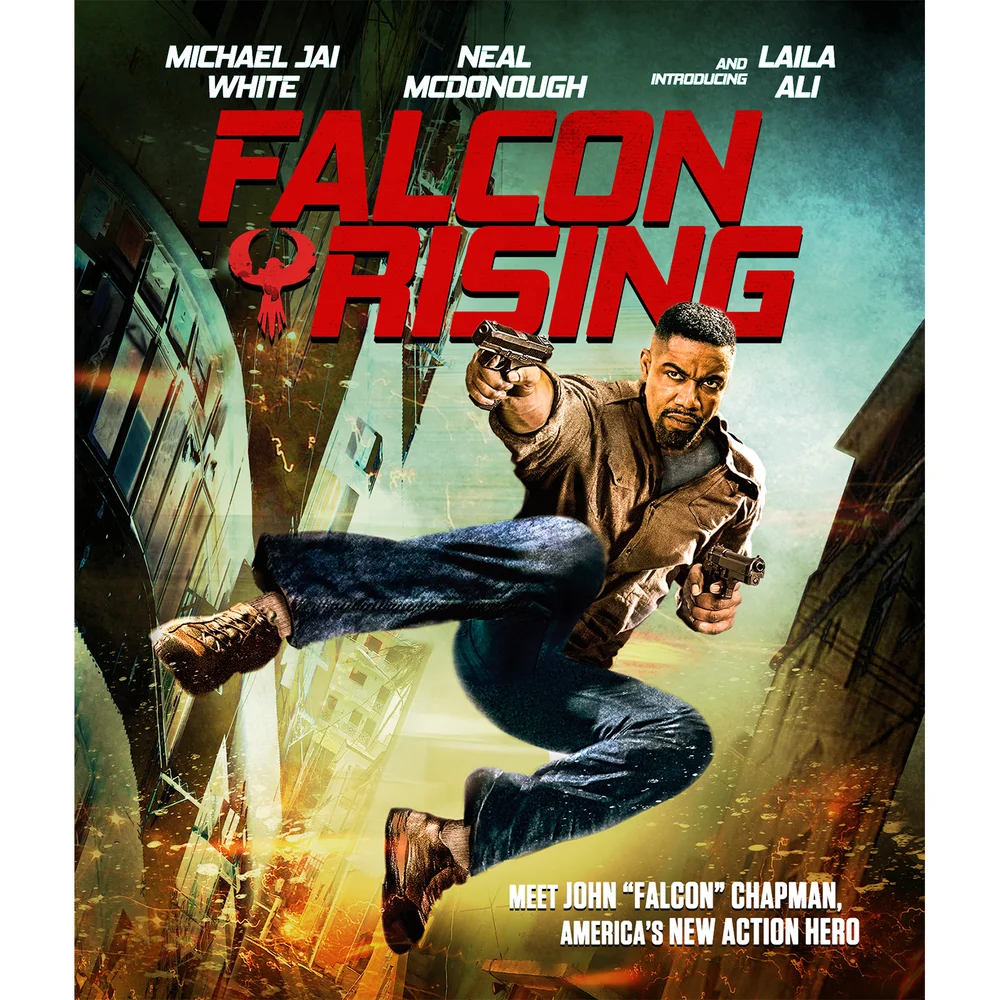 Falcon Rising Image 1