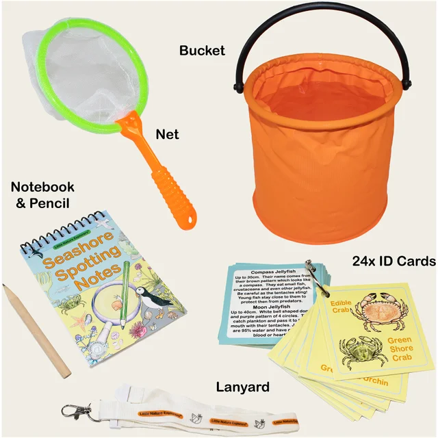 Little Nature Explorers - Seashore Discovery Set