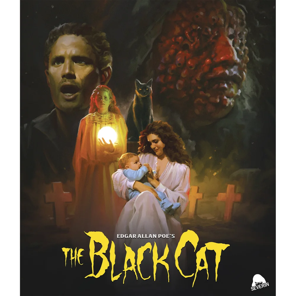 The Black Cat Image 1