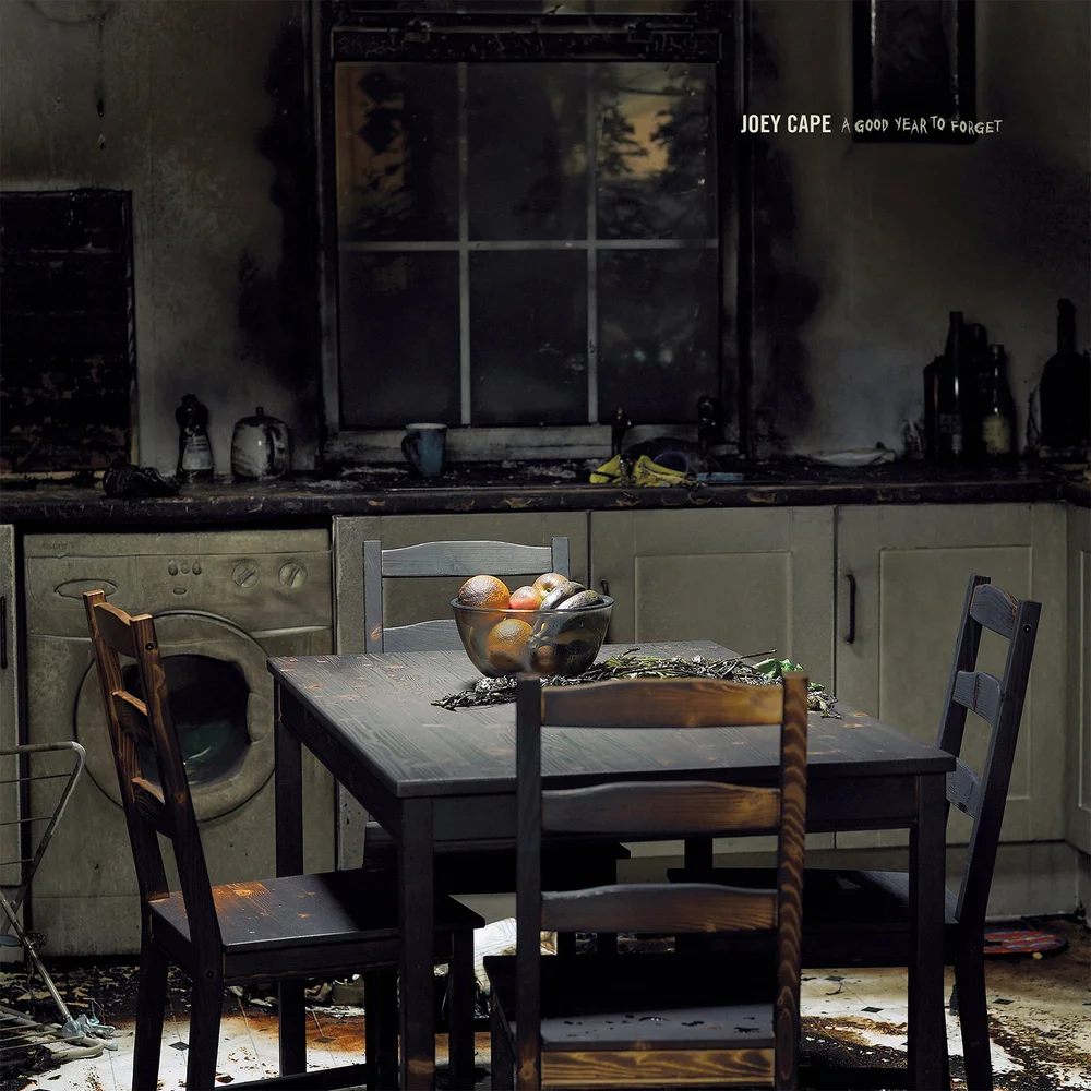 Joey Cape - A Good Year To Forget Vinyl Image 1