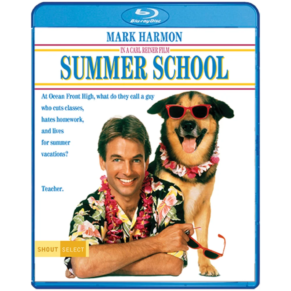 Summer School Image 1