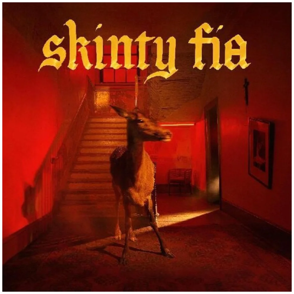 Fontaines D.C. - Skinty Fia Vinyl Image 1