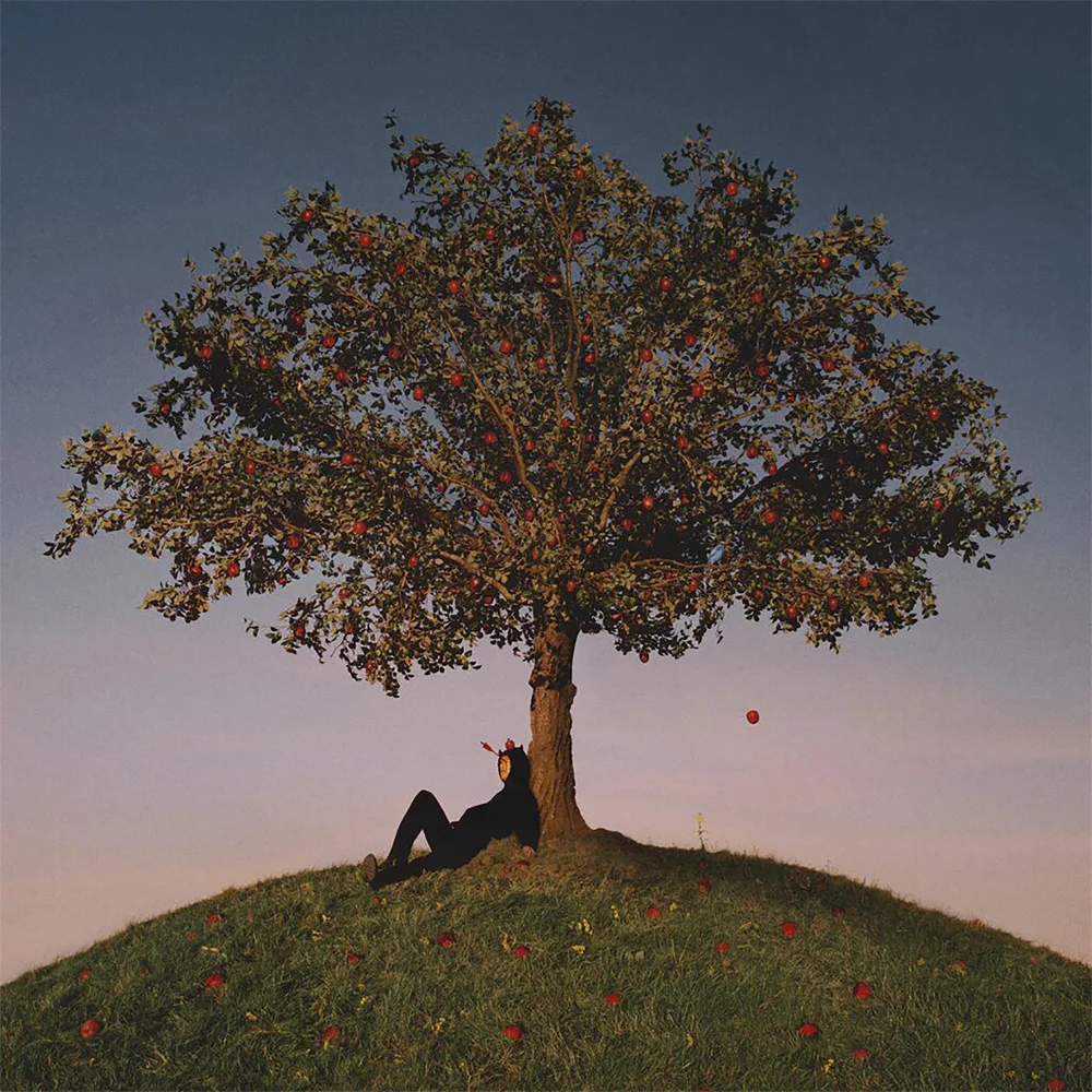 Slowthai - Tyron Vinyl Image 1