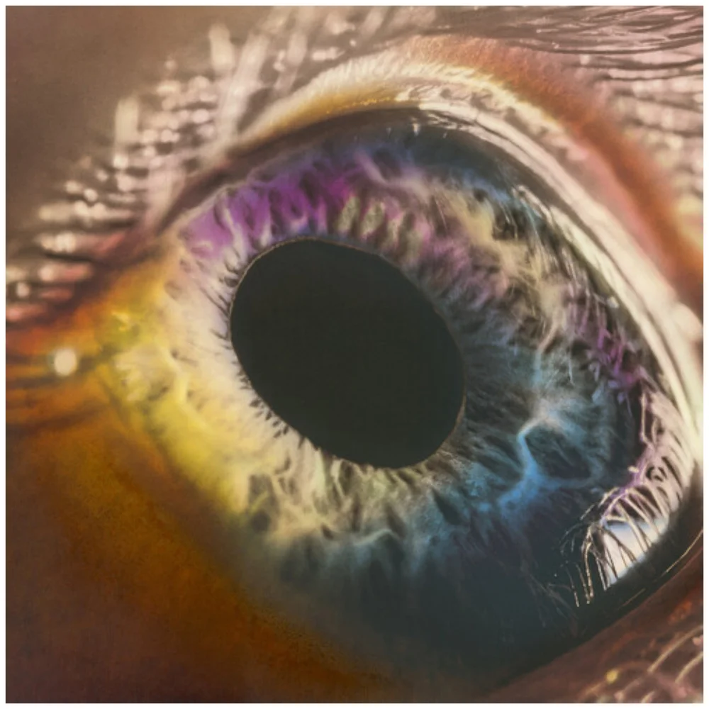 Arcade Fire - WE 180g Vinyl Image 1