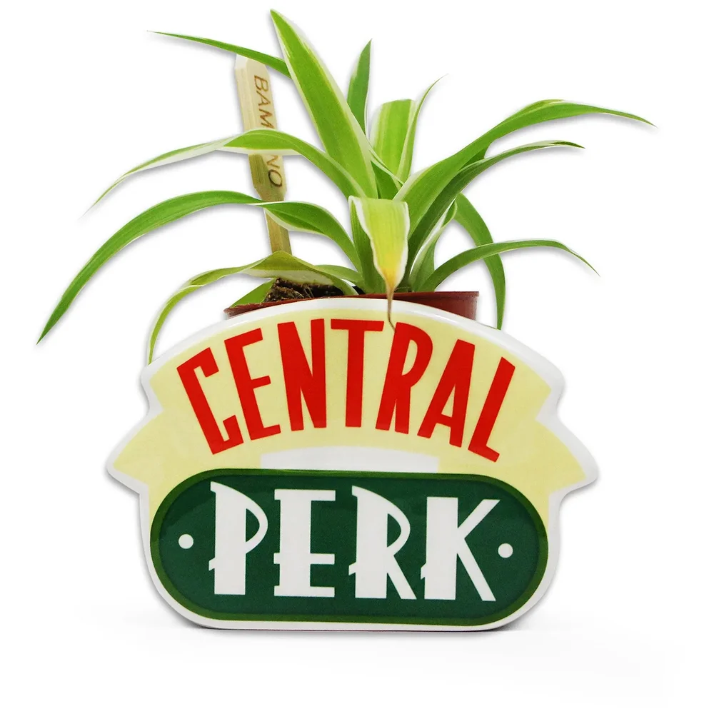 Friends Central Perk Plant Pot Image 1