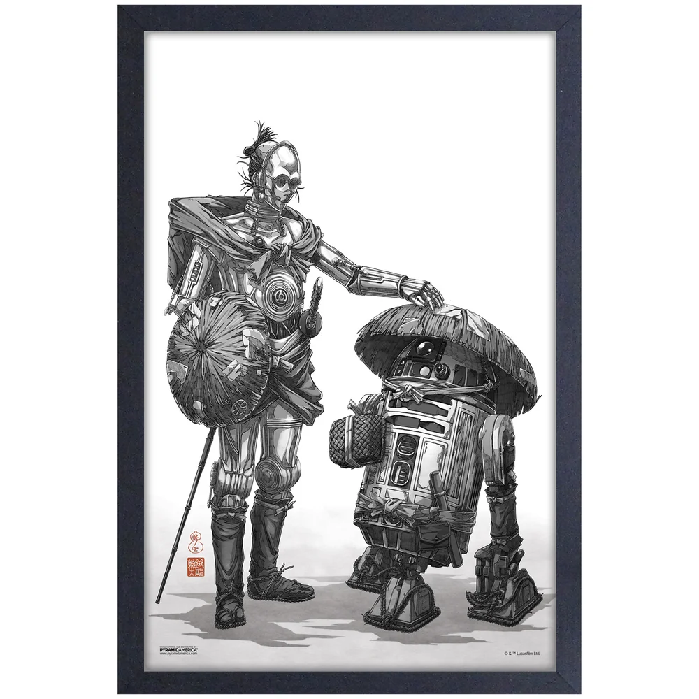 Star Wars: Visions C-3PO and R2-D2 Framed Art Print Image 1