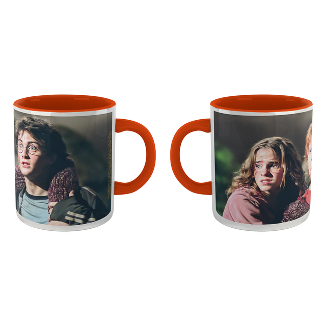 Harry Potter Hermione Ron And Harry Mug - Orange