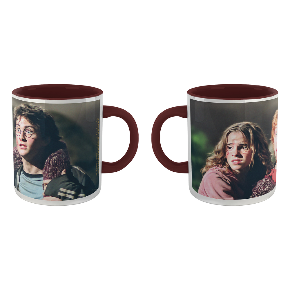 Harry Potter Hermione Ron And Harry Mug - Burgundy Image 1