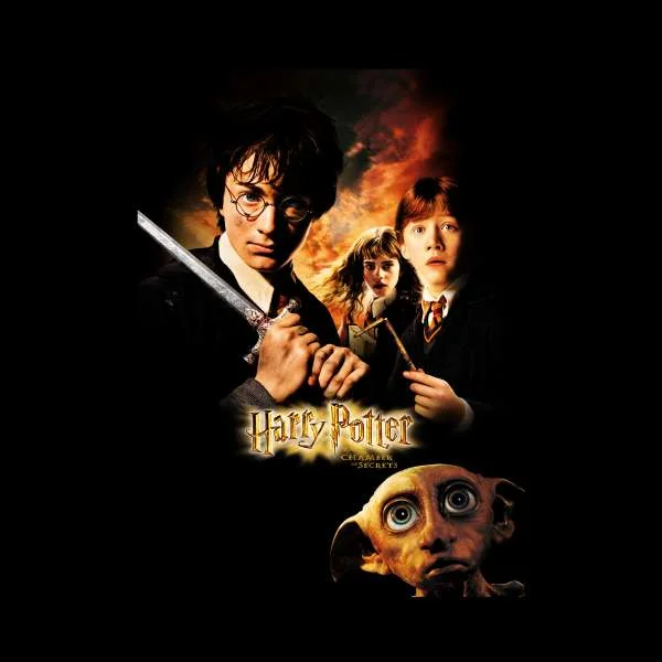 Harry Potter Chamber Of Secrets Hoodie - Black