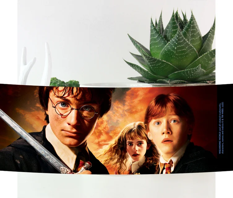 Harry Potter Chamber Of Secrets Mug