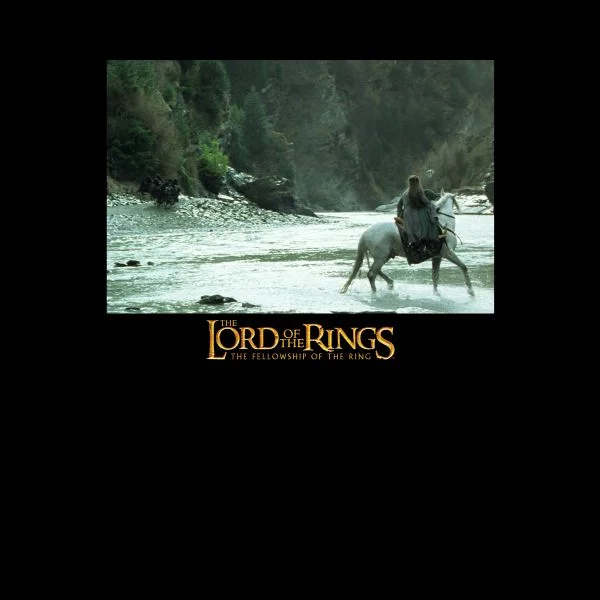 Lord Of The Rings Arwen Women's T-Shirt - Black