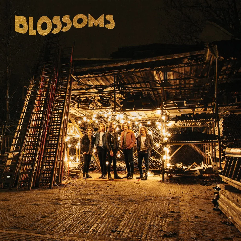 Blossoms - Blossoms - Limited Edition 2LP Orange Vinyl (NAD 2022) Image 1