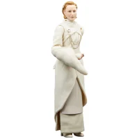 Hasbro Star Wars The Black Series Senator Mon Mothma Action Figure - undefined undefined