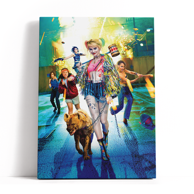 Decorsome x Birds Of Prey Cast Rectangular Canvas