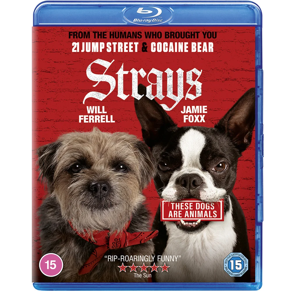 Strays Image 1
