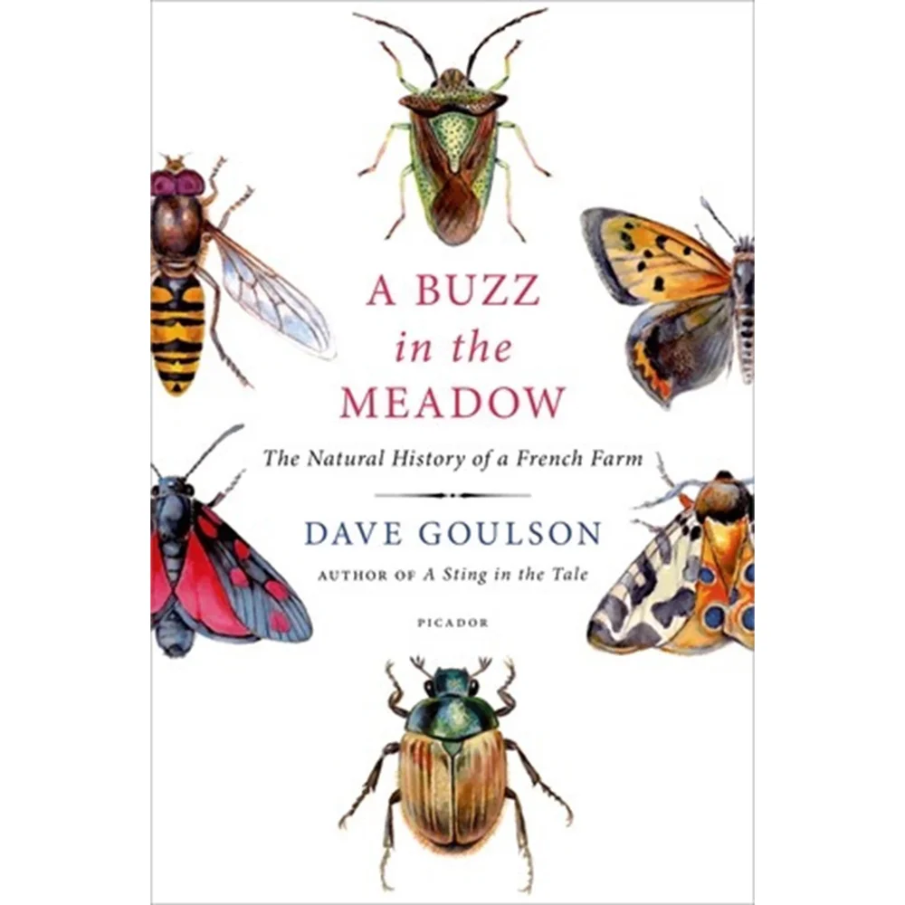 Buzz in the Meadow - Dave Goulson Image 1