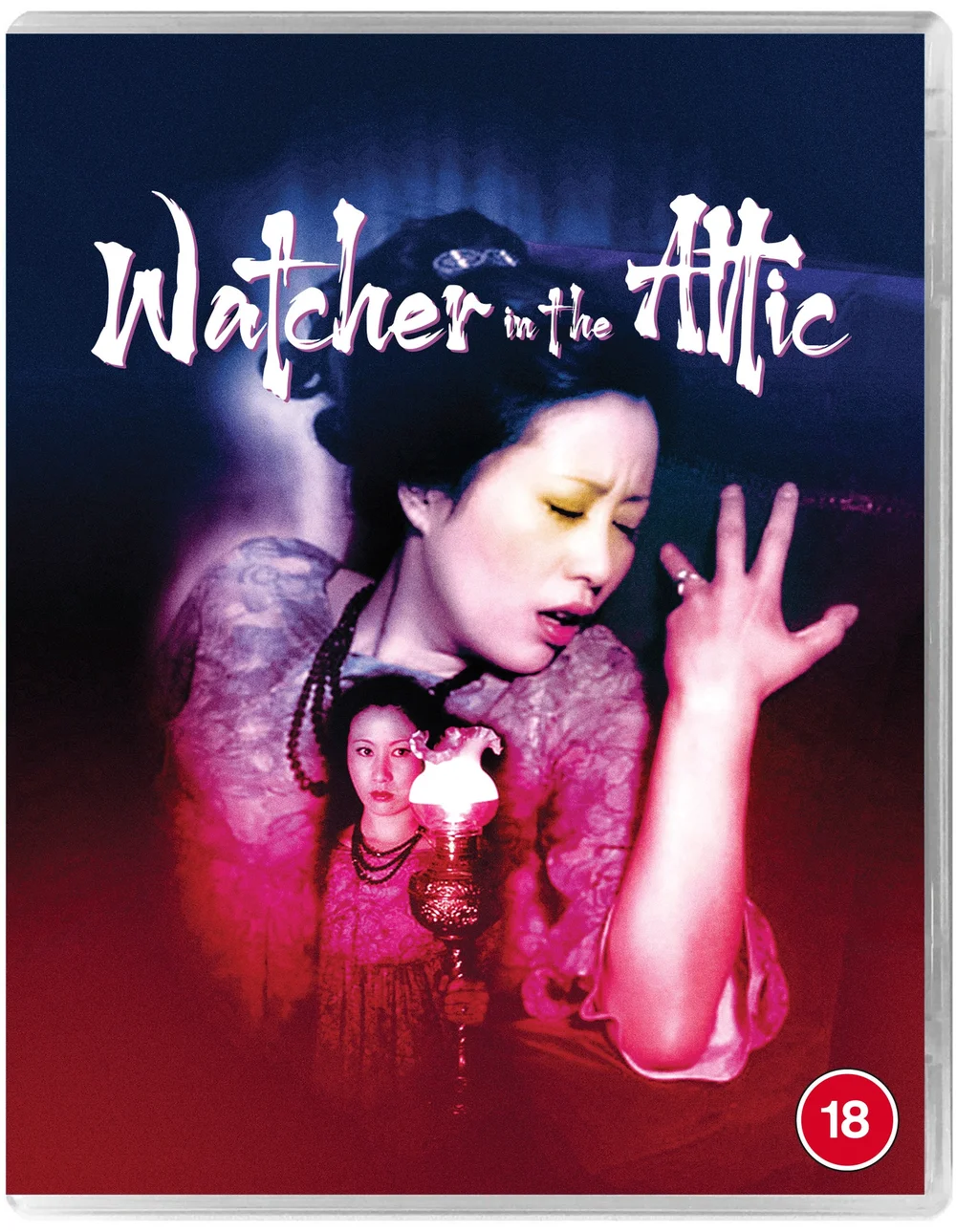 Watcher in the Attic Image 1