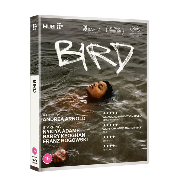 Bird