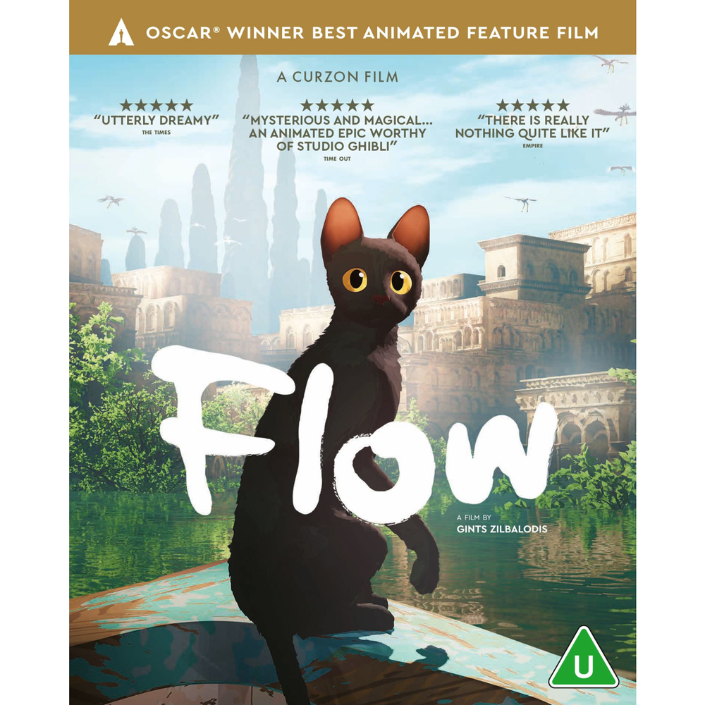 Flow Image 1