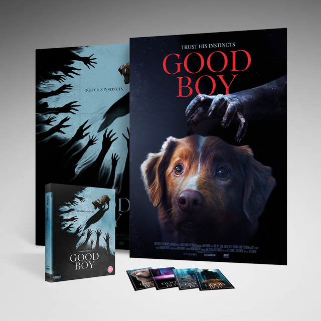 Good Boy 4K Ultra HD