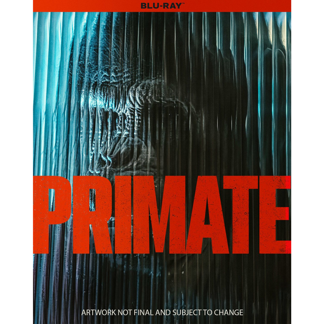 Primate