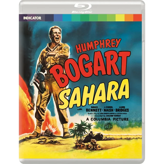 Sahara (Standard Edition Blu-ray)