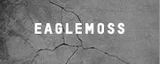 EAGLEMOSS