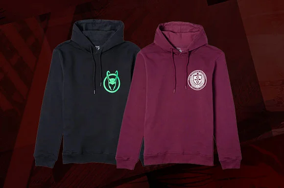 HOODIES FLASH SALE