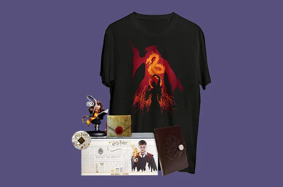 Harry Potter Woot Box Offer 2 for $40!
