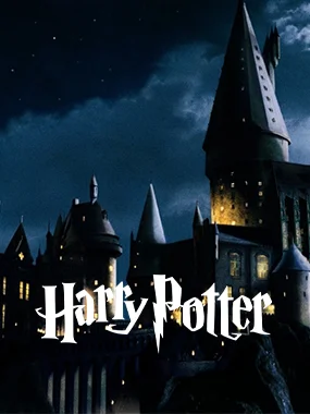 Harry Potter franchise